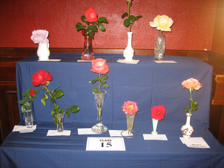 ../Images/Horticultural Show 2006-29.JPG